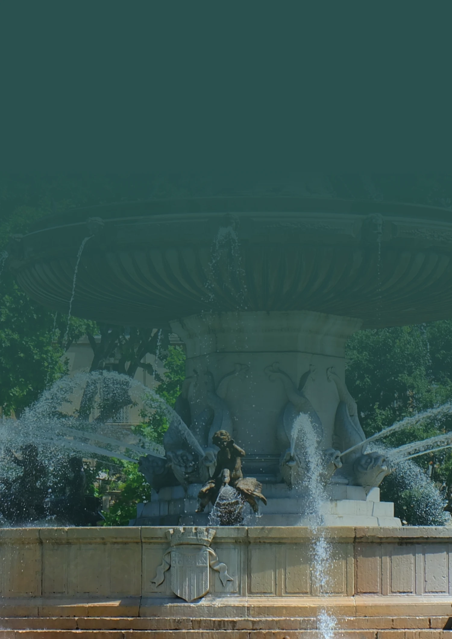 valeurs dentiste orthodontiste la native